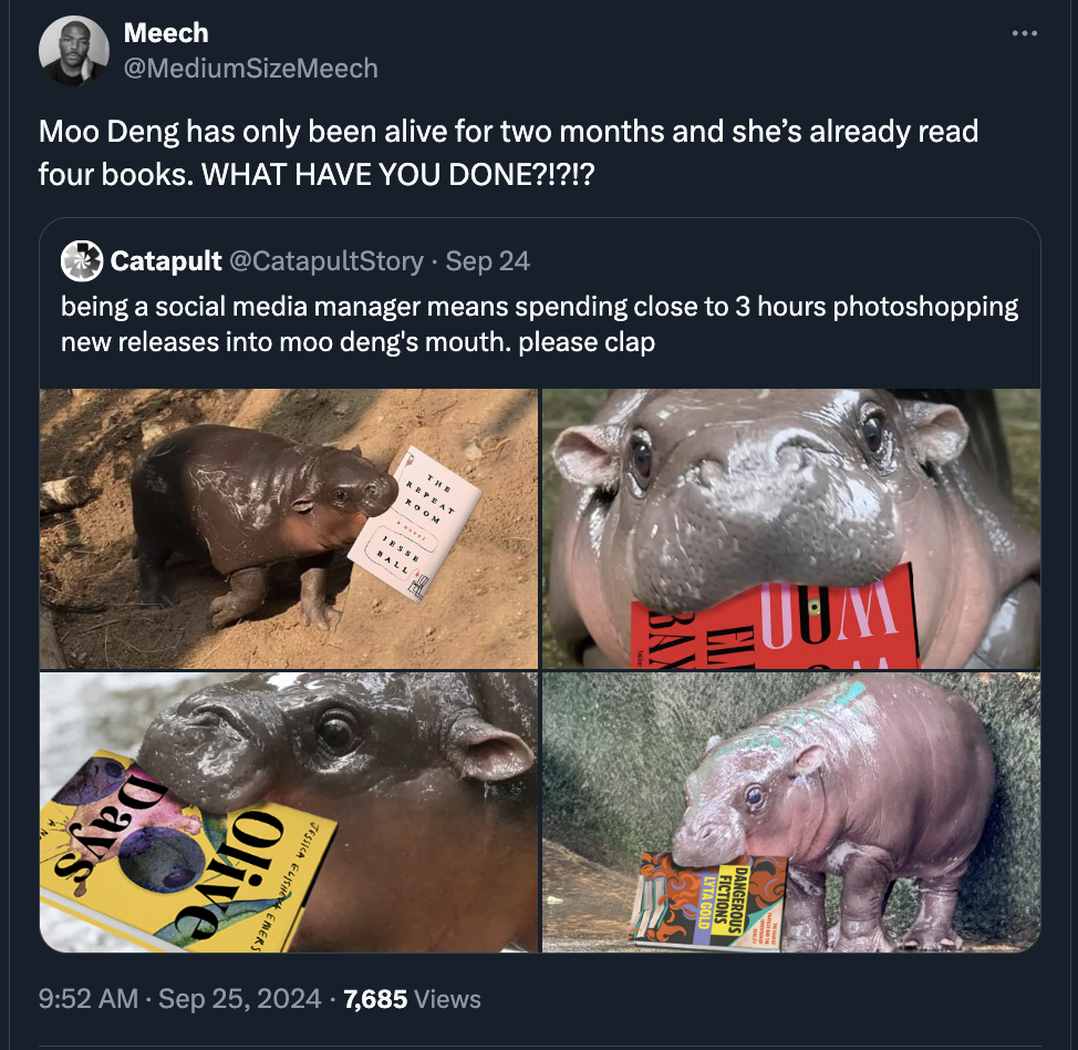 hippopotamus - Meech SizeMeech Moo Deng has only been alive for two months and she's already read four books. What Have You Done?!?!? Catapult Sep 24 being a social media manager means spending close to 3 hours photoshopping new releases into moo deng's m